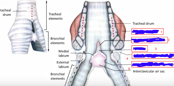 <p>What is the part labeled number 2</p>