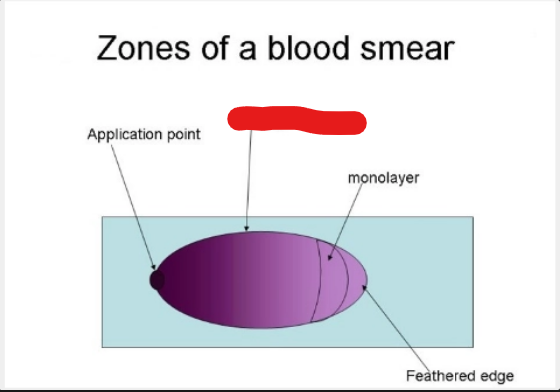 <p>what is it</p>