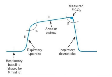 <p>Phase I – Baseline </p><p> • Flat line at the start of exhalation. </p><p>• Represents air from the anatomical dead space (trachea, bronchi, which don’t exchange CO2) </p><p>Phase II – Expiratory upstroke </p><p>• CO₂ air from alveoli begins to mix with dead space air.</p><p>• Steep upward slope. </p><p>Phase III – Alveolar Plateau </p><p>• Exhalation of pure alveoli gas </p><p>• Should be relatively flat in healthy lungs. • The end of this phase is where ETCO₂ is measured. </p><p>Phase IV – Inspiratory Downstroke </p><p>• Sharp drop as inhalation begins. </p><p>• Fresh air enters lungs, containing little CO2. Returns to baseline(<1% CO2 in air)</p>