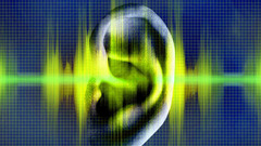 <p>sound, tone</p>
