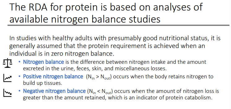 <p>(Nin < Nout) occurs when the amount of nitrogen loss is greater than the amount retained, which is an indicator of protein catabolism</p>