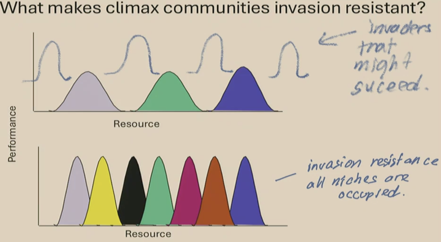 <p>- the <strong>final mature stage of ecological succession</strong>. A <strong>balanced &amp; diverse</strong> ecosystem of plants, animals, &amp; fungi reaches equilibrium w/ local climate &amp; environment remaining relatively <strong>stable</strong></p><ul><li><p>dominated by k-selected species</p></li><li><p><strong>invasion resistance</strong> as all niches are occupied thus preventing possibility of invaders from establishing</p></li></ul><p>- > negative relationship btwn # of resident species &amp; survival of invader</p><p>- > the greater # of resident species the less survival rate of invader</p><p></p>