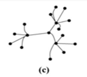 <p>What type of ecosystem network is this?</p>