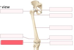 <p>What should go in the highlighted red blank?</p>