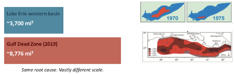 <ul><li><p><span style="background-color: transparent;">Same mechanism as Lake Erie- eutrophication from agricultural nutrients</span></p></li><li><p><span style="background-color: transparent;">Mississippi-Atchafalaya basin drains ~41% of the contiguous US</span></p></li><li><p><span style="background-color: transparent;">2019 hypoxic zone- ~8,776 sq miles (size of New Jersey)</span></p><ul><li><p><span style="background-color: transparent;">Corn Belt nitrogen loading drives massive Gulf primary production</span></p></li><li><p><span style="background-color: transparent;">Decomposition of that production consumes all bottom oxygen</span></p></li></ul></li><li><p><span style="background-color: transparent;">Annual monitoring- NOAA Gulf of Mexico Dead Zone Program</span></p></li></ul><p></p>