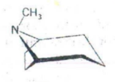 <p><strong>IDENTIFY THE NITROGEN CONTAINING RING STRUCTURE:</strong></p>
