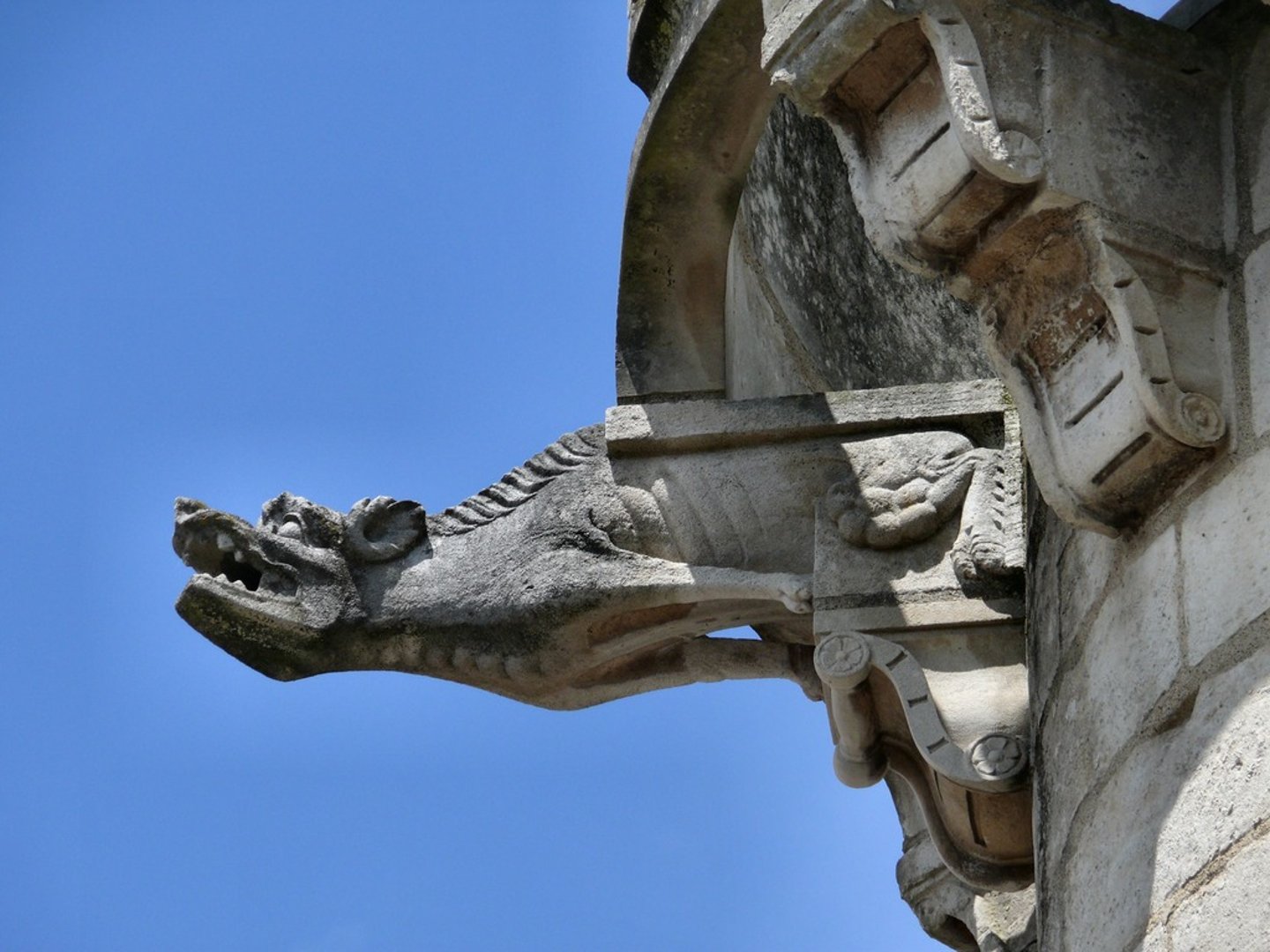 <p>a grotesque carved human or animal face or figure projecting from the gutter of a building, typically acting as a spout to carry water clear of a wall.</p><p>- draining spout</p>