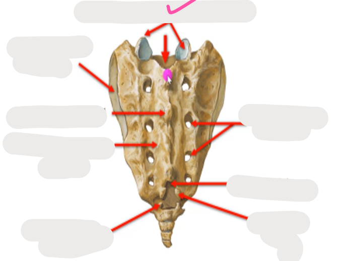 <p>What’s this? </p>