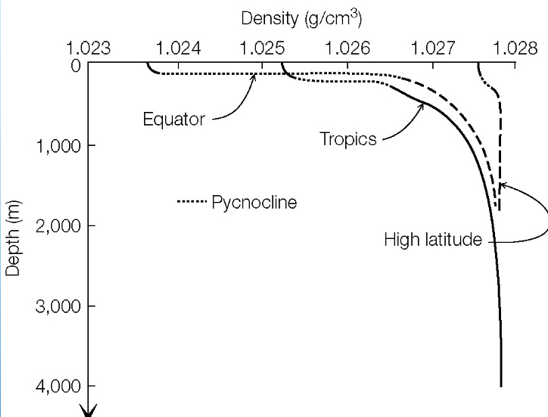 <ul><li><p>- Precipitation causes lower density </p></li><li><p>- Hotter water causes lower density </p></li><li><p>- Pycnocline = rapid change of density </p></li><li><p>- Isopycno = no change in density </p></li><li><p>- The book argues that temperature has more control over density, but experiments show that salinity has more of an impact on density </p></li><li><p>- Pycnoclines act as boarders for organisms </p></li></ul><p></p>