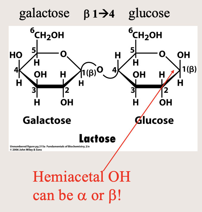 <p>Milk sugar</p>