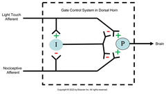 <p>Effect goes beyond where ice is applied and reduces pain at alternate location</p>