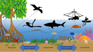 <p>fragile (adj)</p>