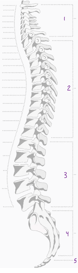 <p>What is number 5?</p>