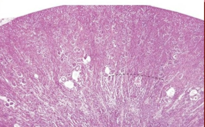 <p>What is this image of?</p>