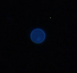 <p>genus, species, stage</p>