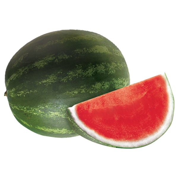 <p></p>