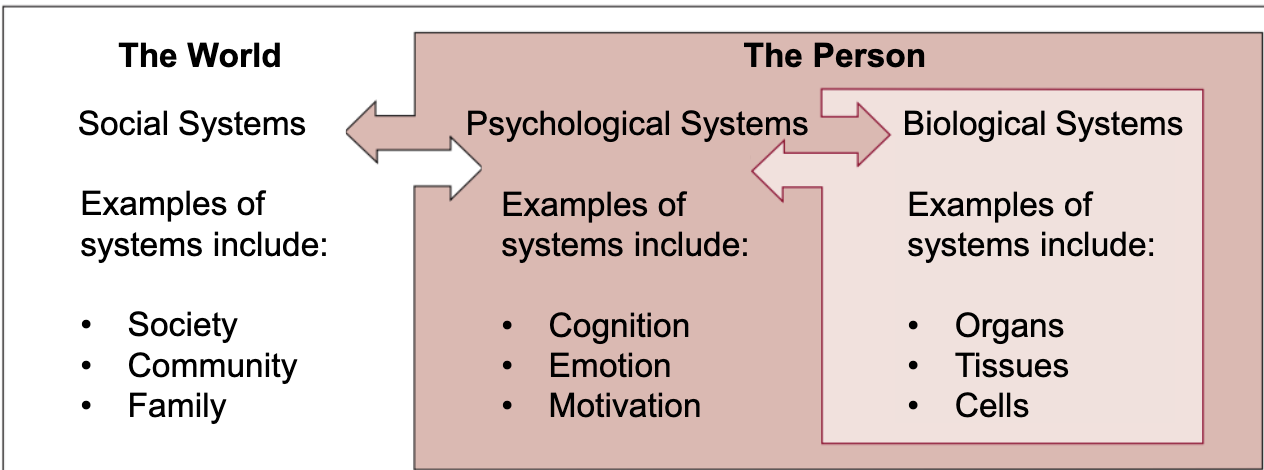 <p><strong>The World</strong><br>→ Social Systems<br>→ <strong>The Person</strong><br>→ Psychological Systems<br>→ Biological Systems</p><p>The main idea is that these systems <strong>interact rather than operate independently</strong>.</p>