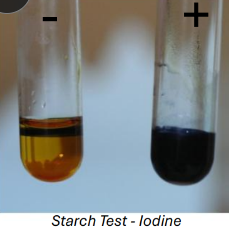 <p>test with iodine, no heat required </p><p>colour change  -  brown/orange to blue/black</p>