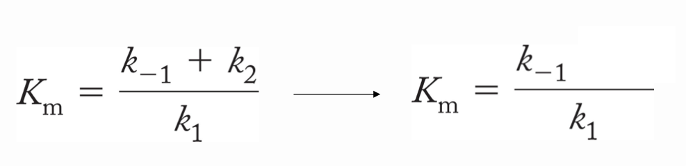 <p>The MM equations assume: k<sub>2</sub> is « than k<sub>1</sub> and k<sub>-1</sub></p><p>The dissociation rate is greater than the rate of product formation, so ES is more likely to fall apart than make product</p><p>K<sub>m</sub> becomes ESdissociation constant, K<sub>m </sub>= K<sub>d</sub></p><p>Higher affinity = Small Km, tighter association</p><p>Lower affinity = Larger Km, looser association</p><p>Km tells you how much substrate you need for effective enzyme activity meaning low km → enzyme works well even at low [S], and high Km → needs high [S] to work efficiently</p>