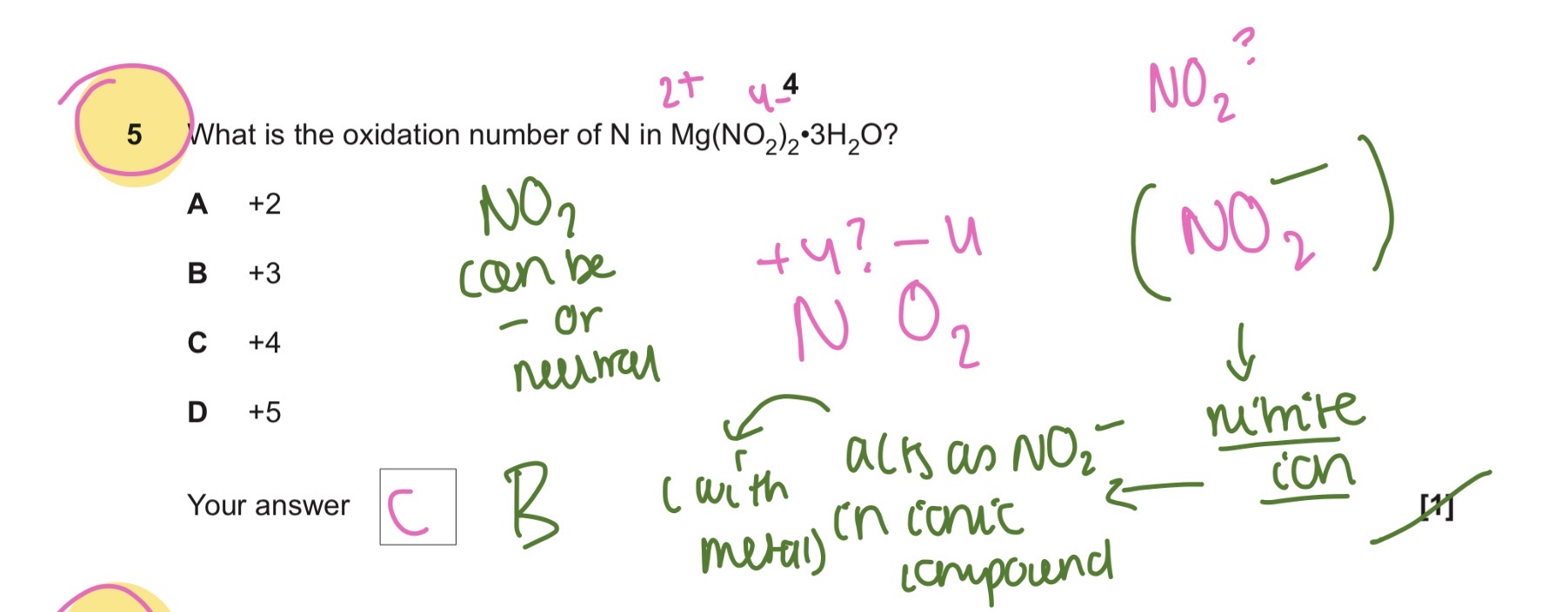 knowt flashcard image