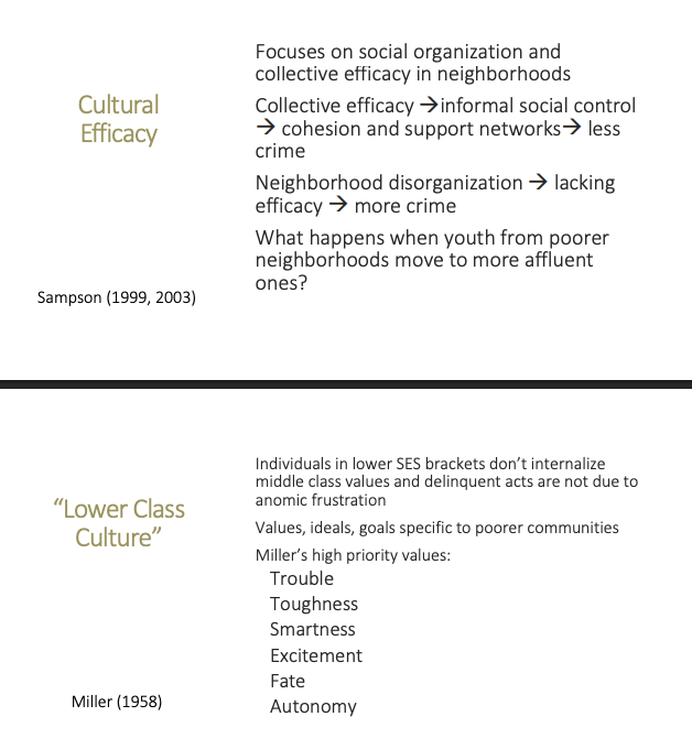 <p>Sampson (1999, 2003) argued neighborhoods differ in <strong>collective efficacy</strong>—the ability of residents to work together, support each other, and create <strong>informal social control</strong>.</p><ul><li><p><strong>High collective efficacy → cohesion/support networks → less crime</strong></p></li><li><p><strong>Neighborhood disorganization → low efficacy → more crime</strong><br>It also raises questions like: what happens when youth move from poorer neighborhoods to more affluent ones?</p></li></ul><p>Sampson’s Cultural (Collective) Efficacy Theory suggests that neighborhoods with strong social ties and collective efficacy help prevent crime through informal social control and community cohesion, while disorganized neighborhoods experience higher crime rates due to lack of efficacy. </p><p></p>