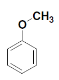 <p>Common name</p>