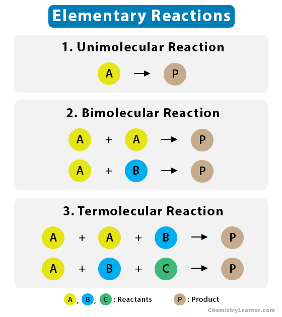 <p>reactions progress in <em>a series of elementary steps that involve intermediate molecules that only exist briefly</em>.</p><ul><li><p>1 reactant = a unimolecular reaction.</p></li><li><p>Two reactants = bimolecular</p></li><li><p>Three reactants = trimolecular</p></li></ul><p></p>