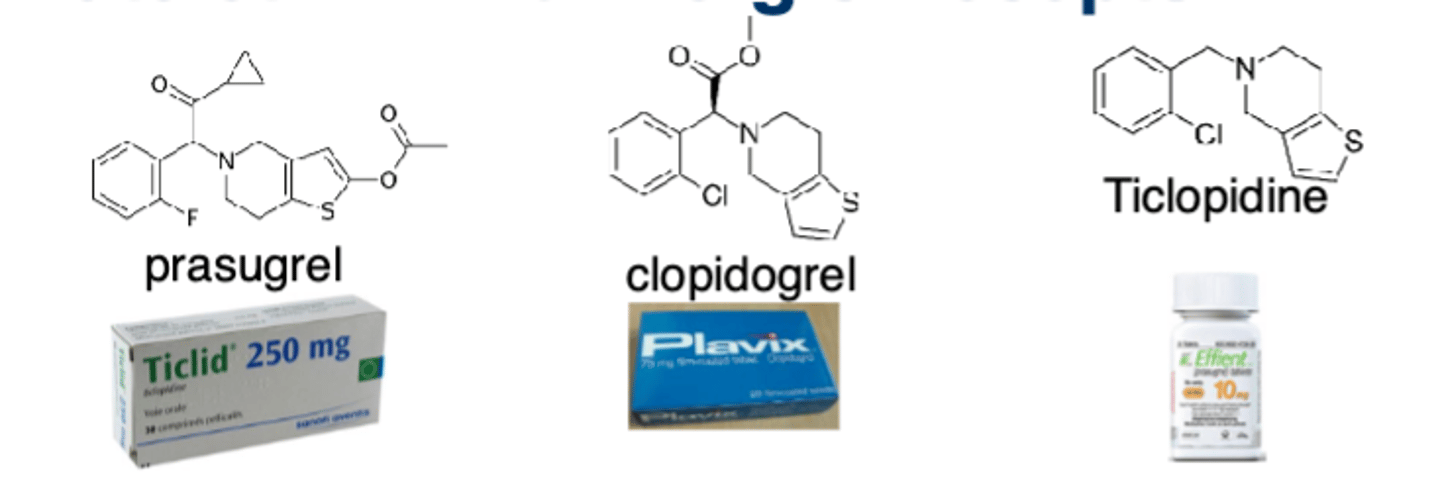 <p>Ticlopidine, clopidogrel, and prasugrel; they bind irreversibly to P2Y12 and are all prodrugs </p>