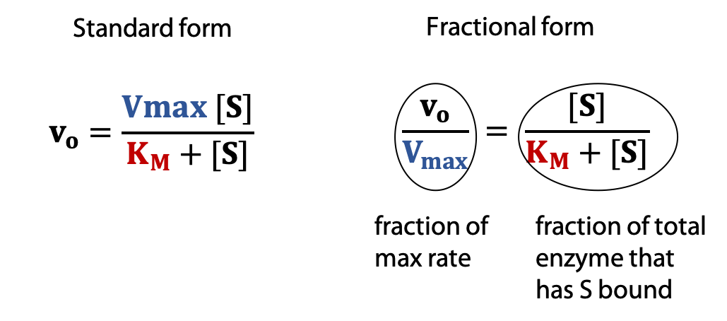 <p>what does the Michaelis-mention equation describe</p>