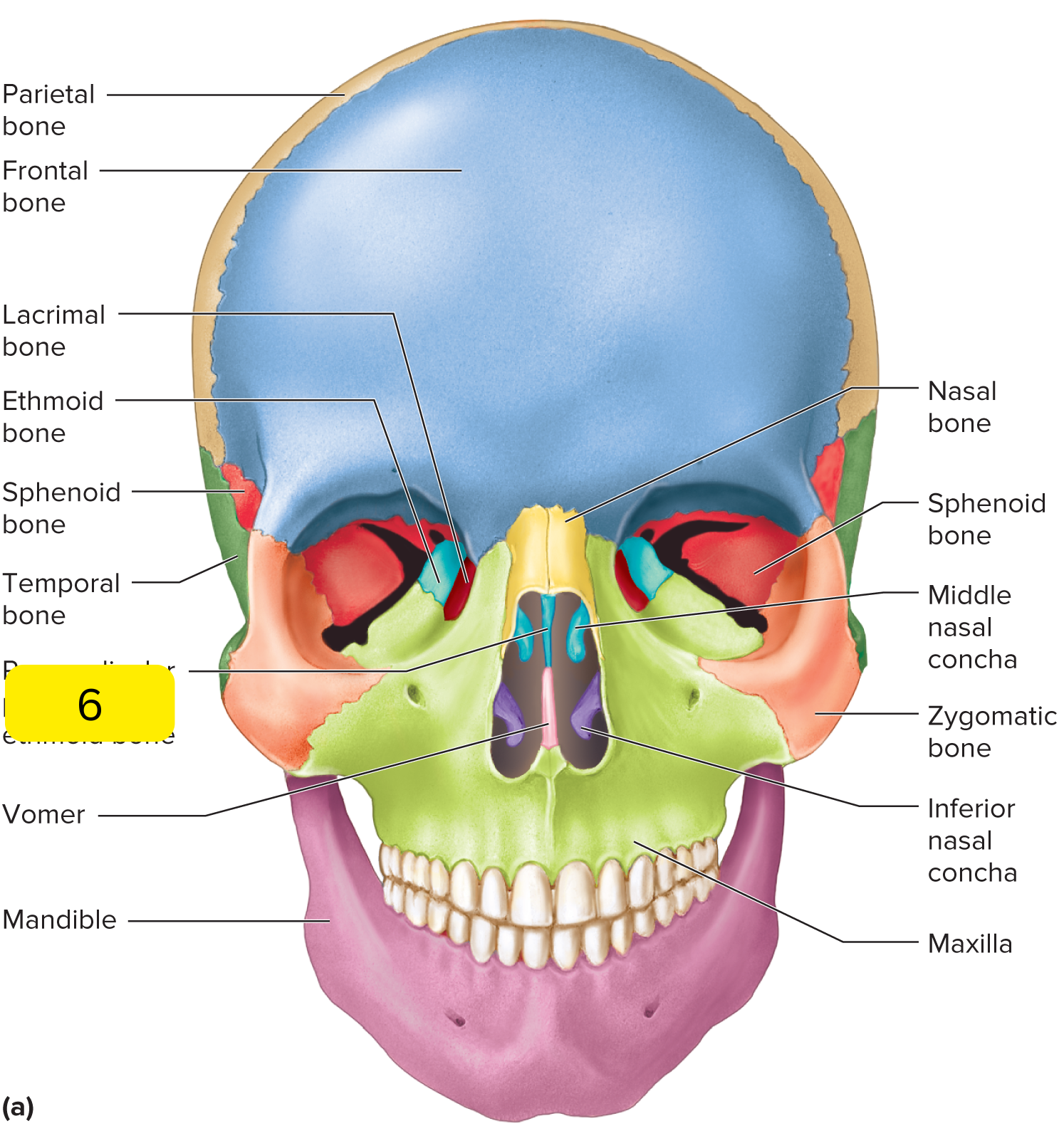<p>What’s #7?</p>