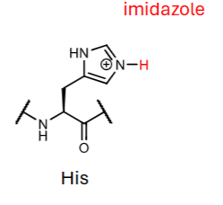 <p>imidazole pKa?</p>