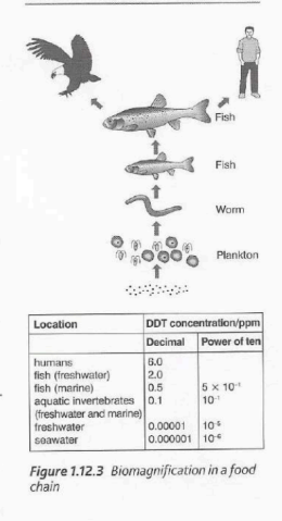 Increase in concentration of toxins at higher trophic levels