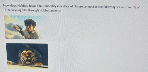 <p>How does Hobbes ideas about morality in a state of nature connect to the following scene from life of pi (analyzing film through hobbesian lens)</p>