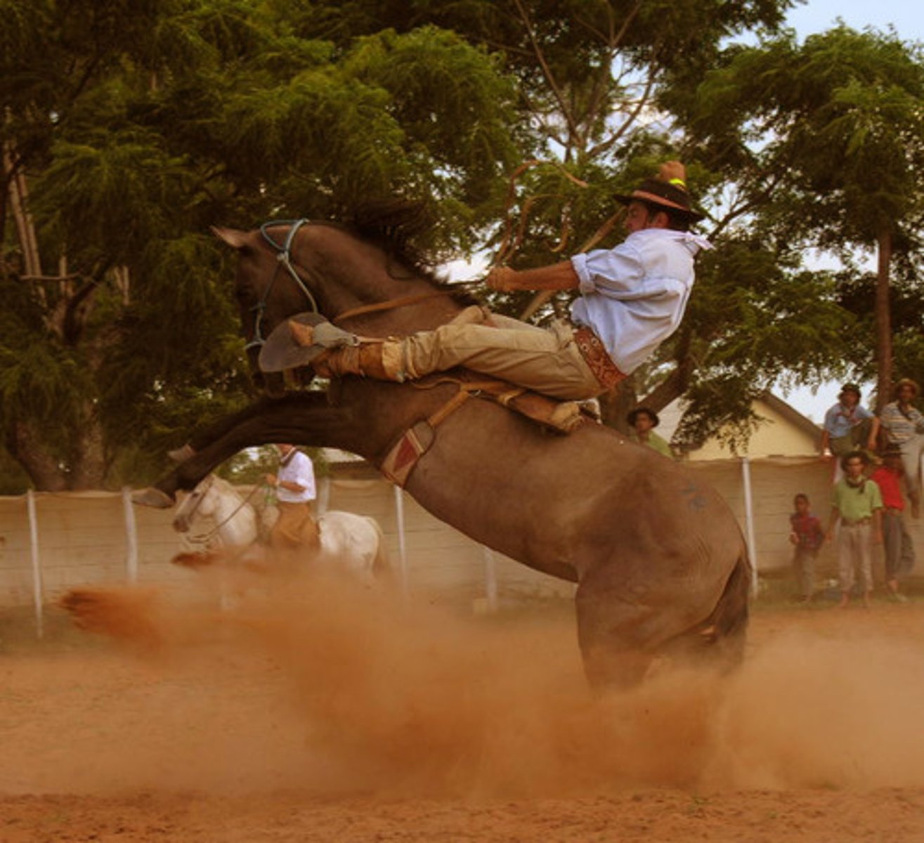 <p>to ride a horse</p>