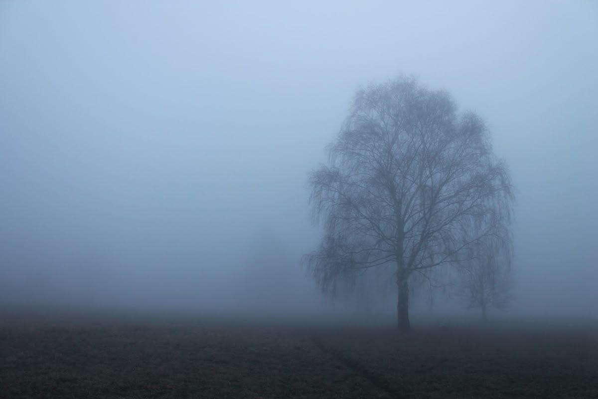 <p>wistful</p>