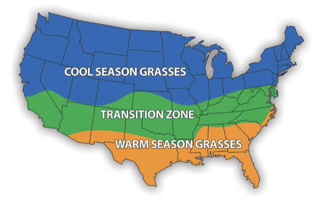 <ul><li><p>Cool season grasses</p></li><li><p>Warm season grasses</p></li><li><p>Legumes</p></li></ul><p></p>