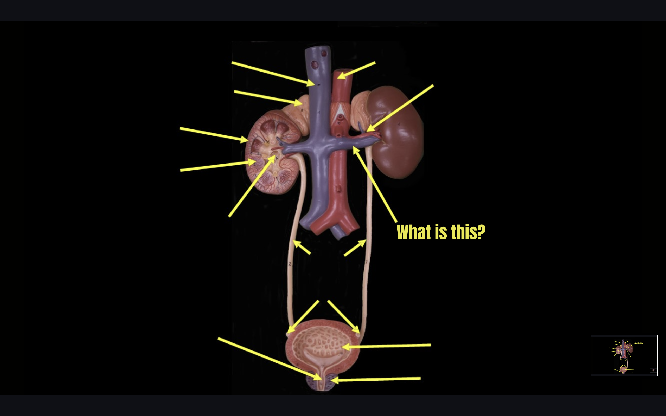 term image