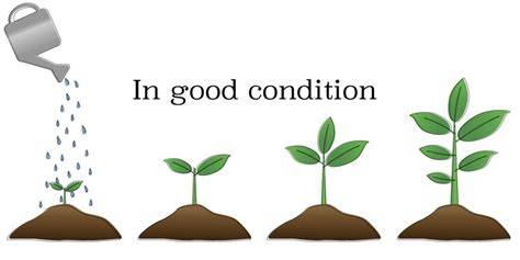 <p>condition</p>