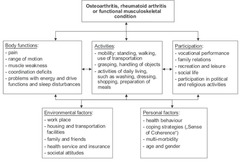 <p>International Classification of Functioning, Disability and Health</p>