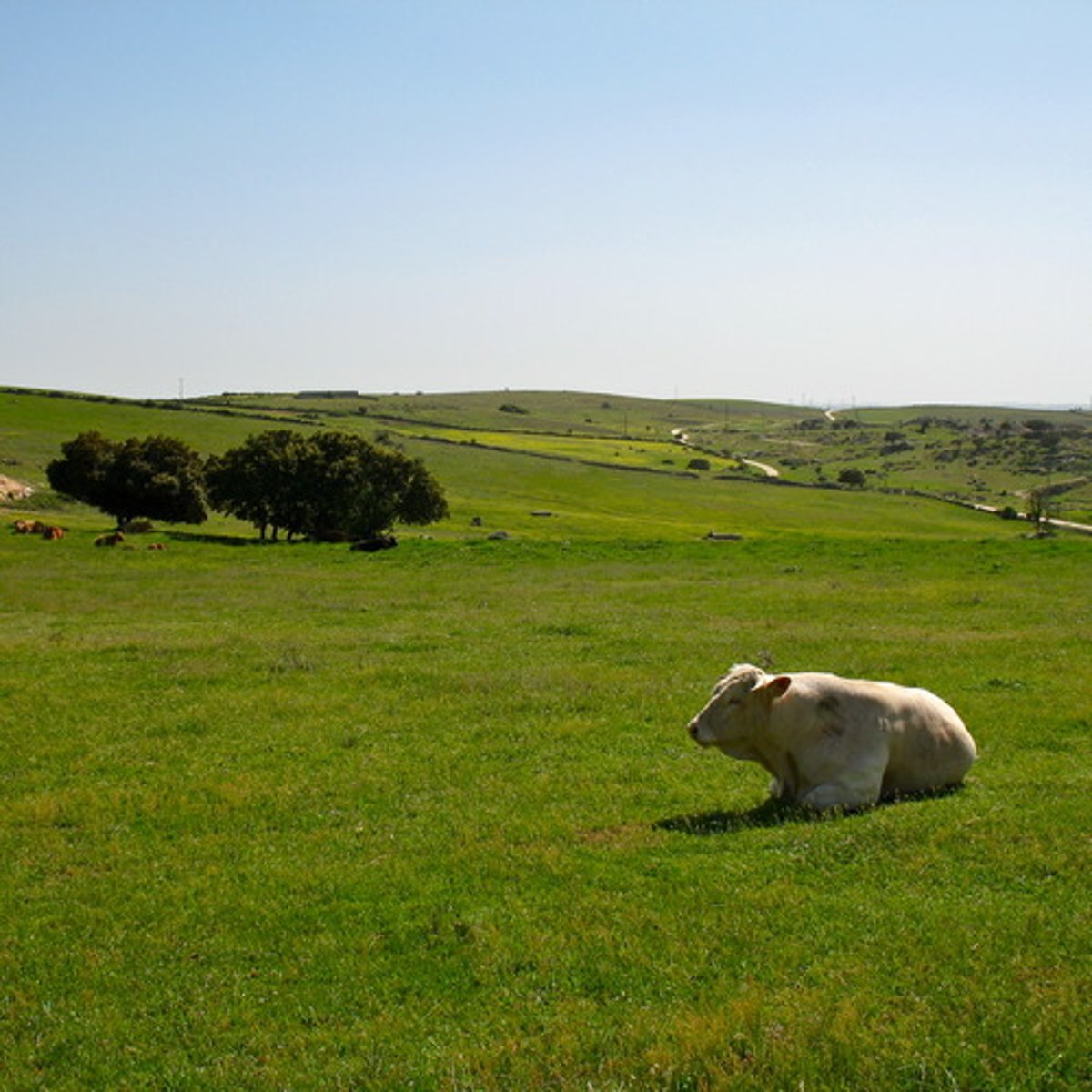 <p>often avoiding spending time with other people; unsociable</p>