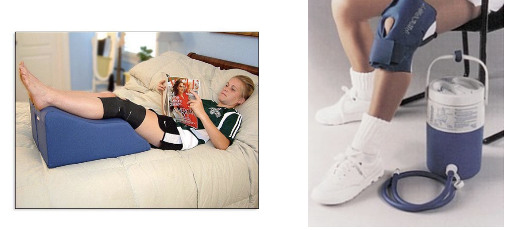 <p>RICE (which is the best)</p>