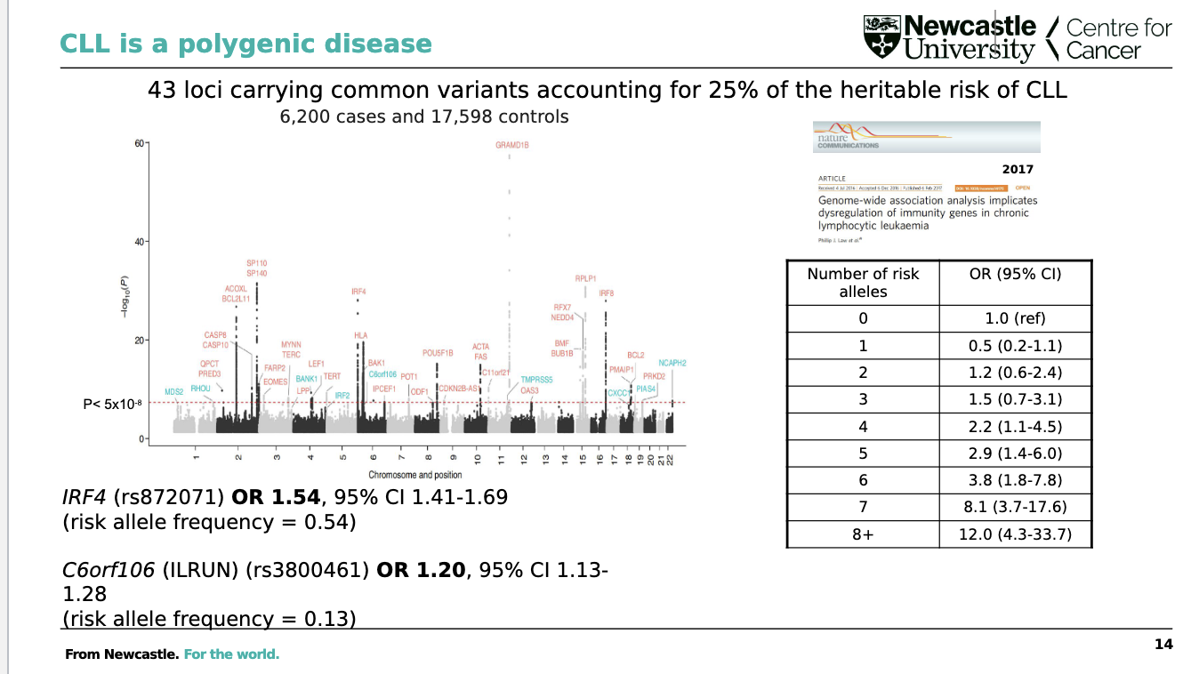 <p><strong>43 loci</strong> carrying common variants account for ~<strong>25% of the heritable risk</strong> of CLL. </p><ul><li><p>Each risk allele has a relatively small effect (e.g. <strong>IRF4 OR 1.54</strong>, <strong>C6orf106/ILRUN OR 1.20</strong>)</p></li><li><p>but the effects <strong>accumulate</strong>: carrying <strong>8+ risk alleles</strong> is associated with an OR of <strong>12.0</strong> compared with having none.</p></li></ul><p></p>