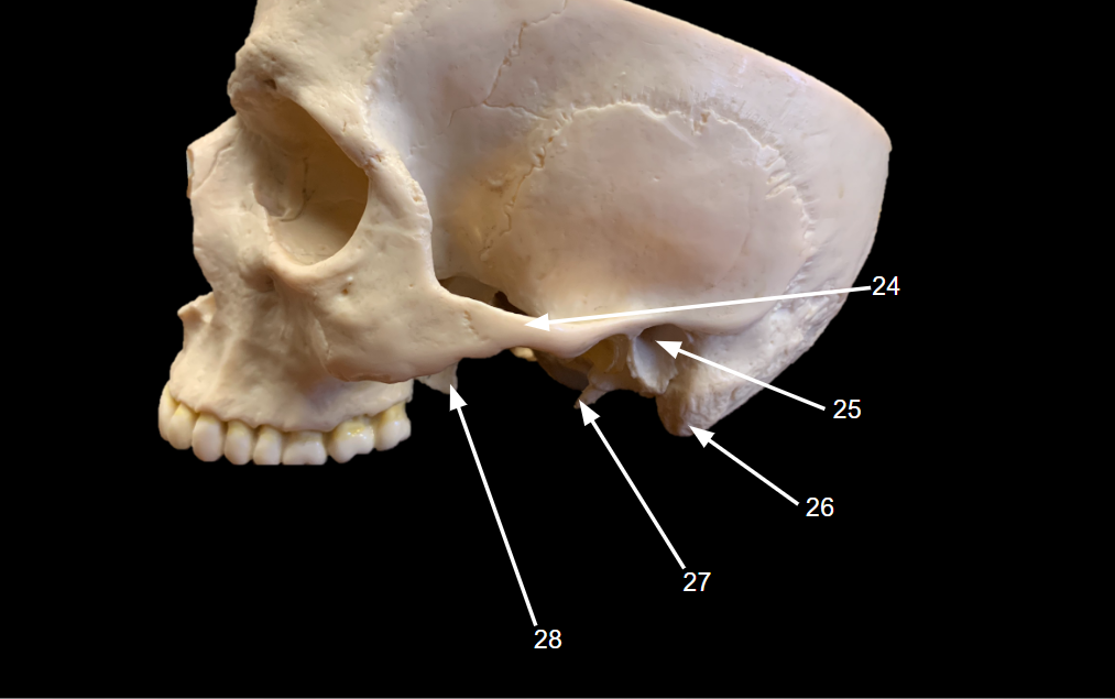<p>WHAT IS 28 CALLED?</p>