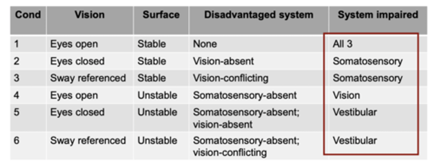 <p>Vision</p>