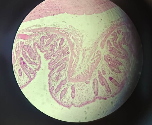 <p>What is this?</p>
