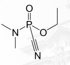 <p></p>