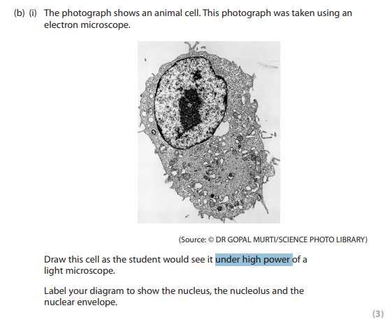 term image