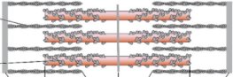 <p>sarcomere relaxation </p>