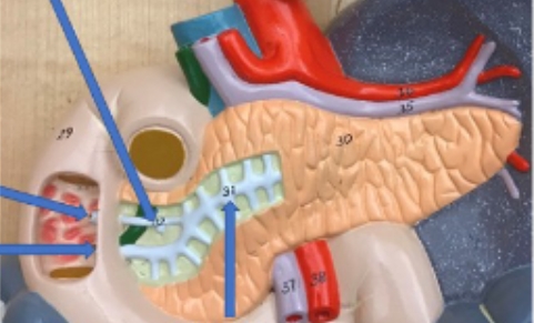 <p>name the parts</p>
