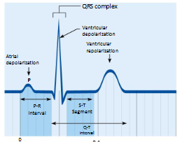 <p>remember both, this bottom one is related to top one</p>